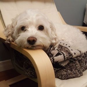 Meet your Posher, Rubina